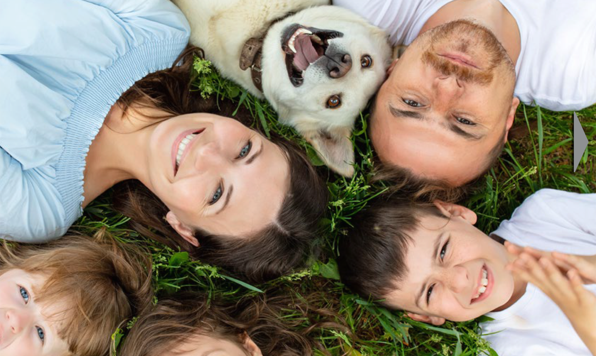 Dispozitive concepute pentru a elimina capusele